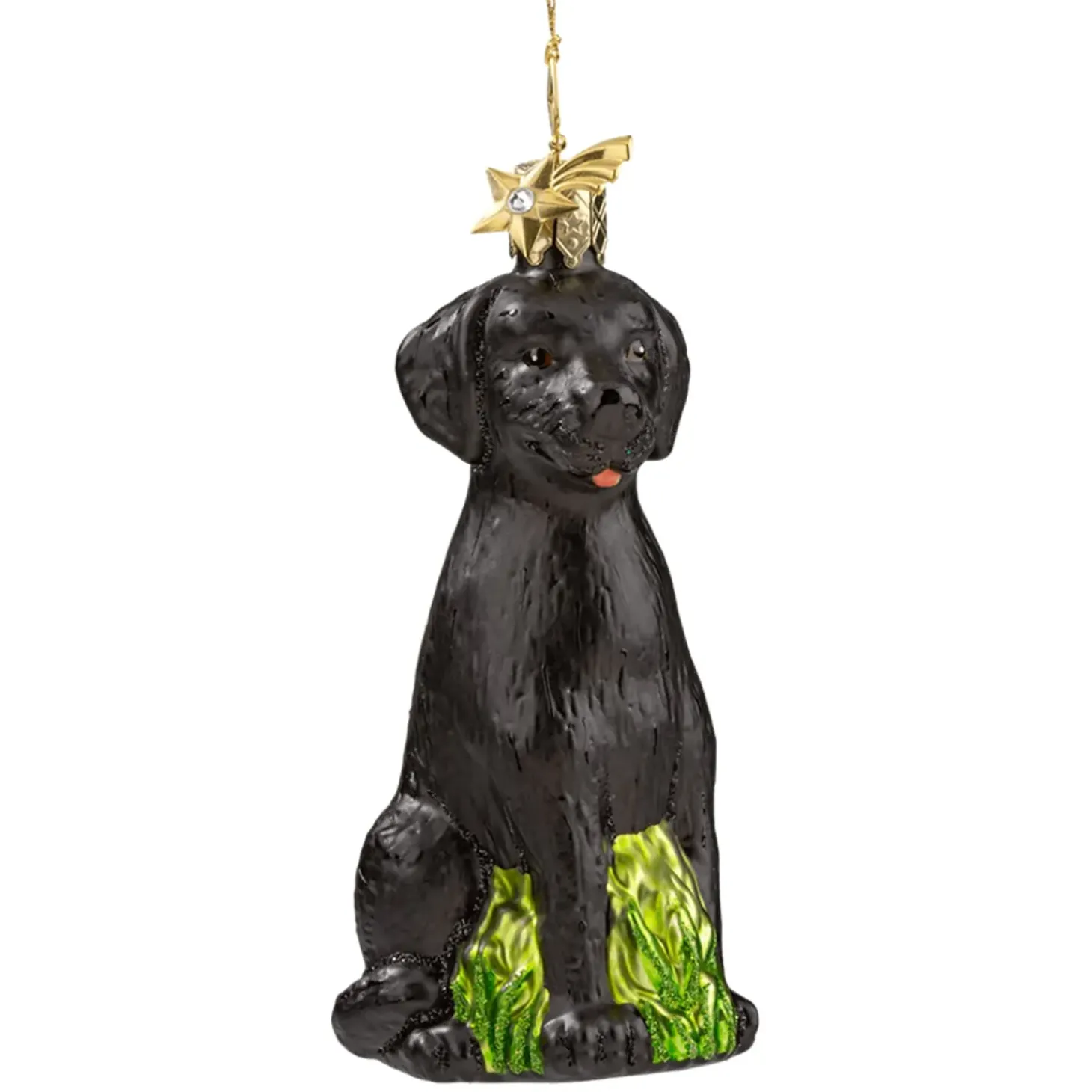 Schwarzer Labrador